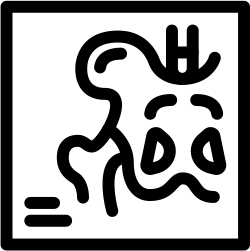 hystérosalpingographie